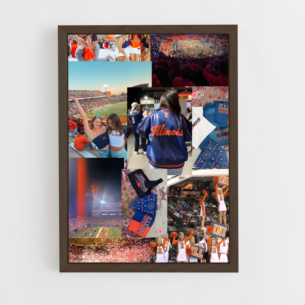 Poster Illinois United – affiche Basketball (vue 5)